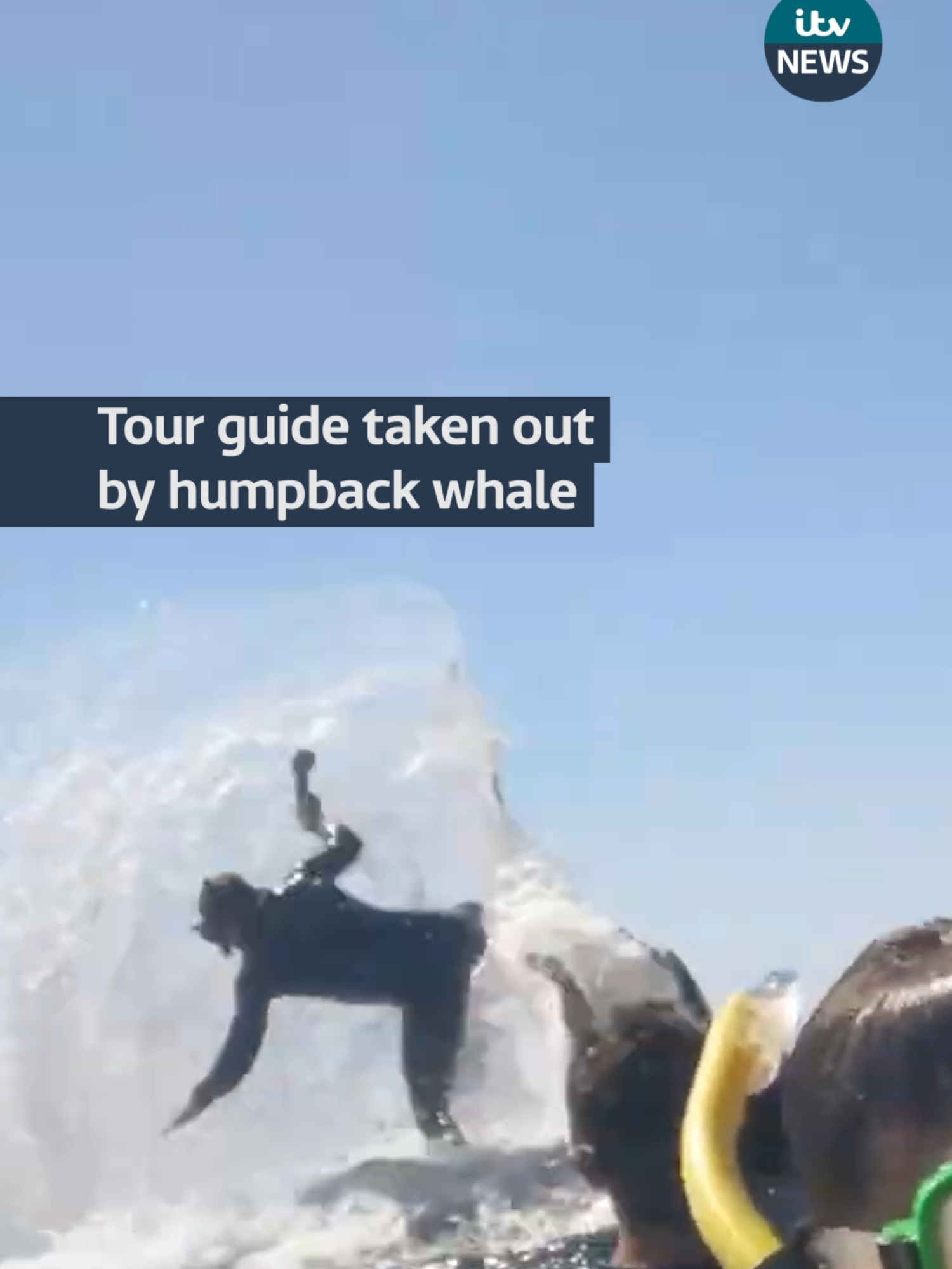 Tour guide taken out by humpback whale #itvnews