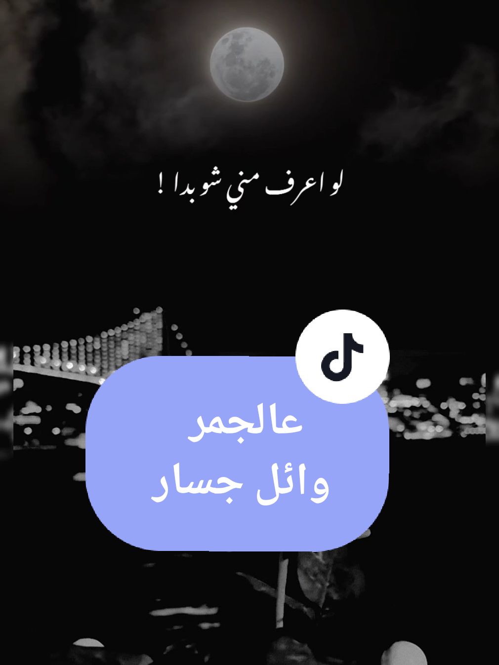 عالجمر لو بمشي حفى وائل جسار #لا_متلي_ولا_متلك_حدا #عالجمر_لو_بمشي_حفا #وائل_جسار #لبنان #Sing_Oldies #لايت_سو #اكسبلور #lightso9 #fypシ 