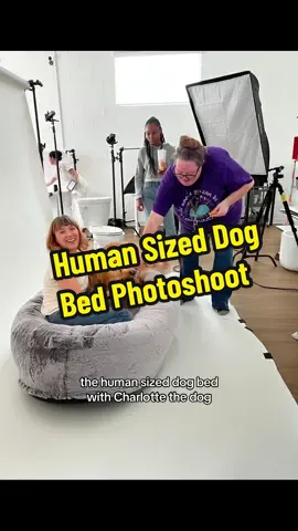 Oh, i have to lay in a human sized dog bed with a sweet golden retriever and get paid for it? Ughhhh, ok i guess…. #dogbed #plufldogbed #humansizedogbed #cozytok 