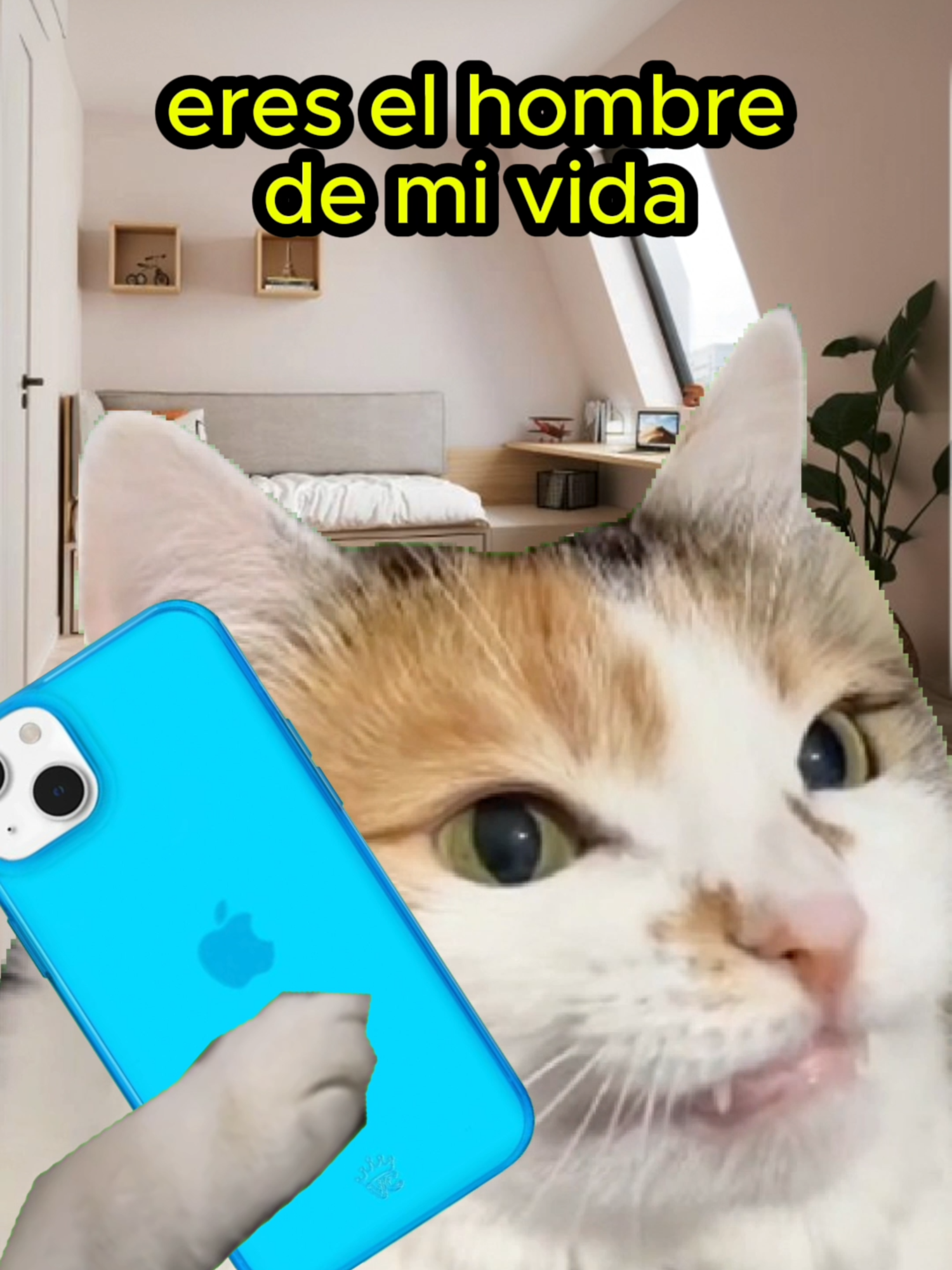 ere el hombre de mi VIDA #gato #videodegatos #gatosdivertidos #videosdivertidos #mascotas #videodemascotas #adopta #cat #lipsync #catlovers #catvideo #funnycats #funny #funnypets #michi #risas #videoviral #VoiceEffects #chistes #trending #humorenespañol #jubilacion #catlife #pets #catoftheday