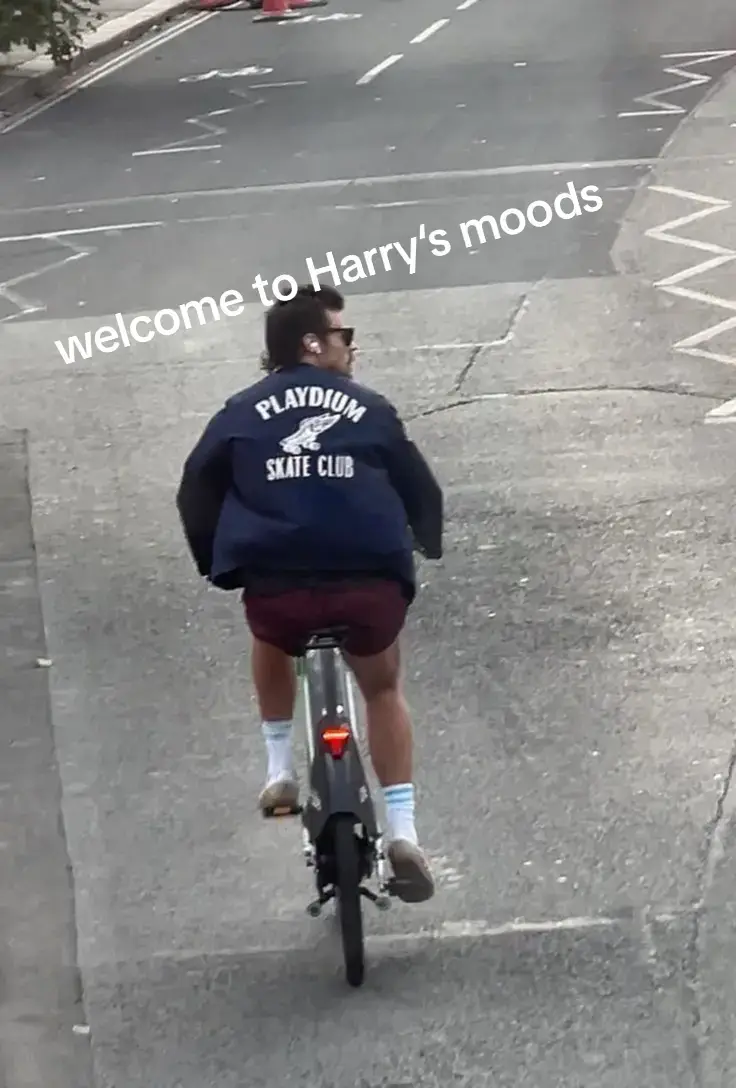 Welcome to Harry‘s Moods  #harrystyles #harryshouse #loveontour #hs #hslot #familyshow #fineline #viral #hshq #harrystylesvids #fyp #tpwk 