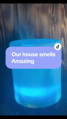 #musthaves#tiktokfinds#diffuser#treasuredkfinds#goodsmells#diffuser 