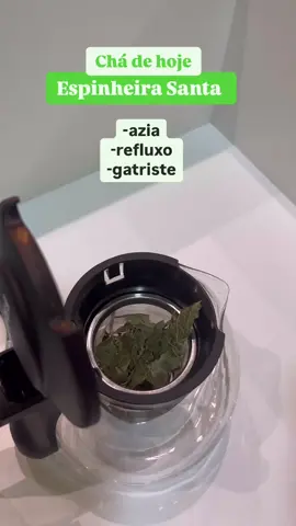 Chá de Espinheira Santa:  ajuda a proteger e acalmar a mucosa gástrica, sendo útil em casos de gastrite, azia e problemas digestivos. 🌱✨