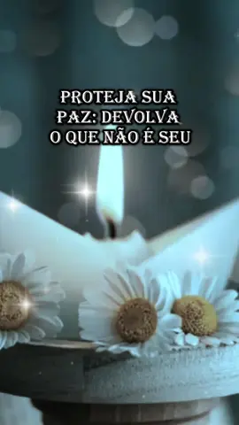 Proteja a sua Paz, devolva o que não é  seu..  #deus #reflexão #sabedoria #motivacao #foryou 