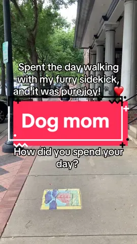 #dogmom #dogmomlife #walkwithme #furryfriends #tiktokpets  @Meredith 