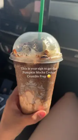 Twins Taste Test the Viral Pumpkin Spice Mocha Cookie Crumble Frappe from Starbucks! 🎃🍂 #Starbucks #PumpkinSpice #FallDrinks #StarbucksFrappe #ViralDrink #TwinsTry @Starbucks 
