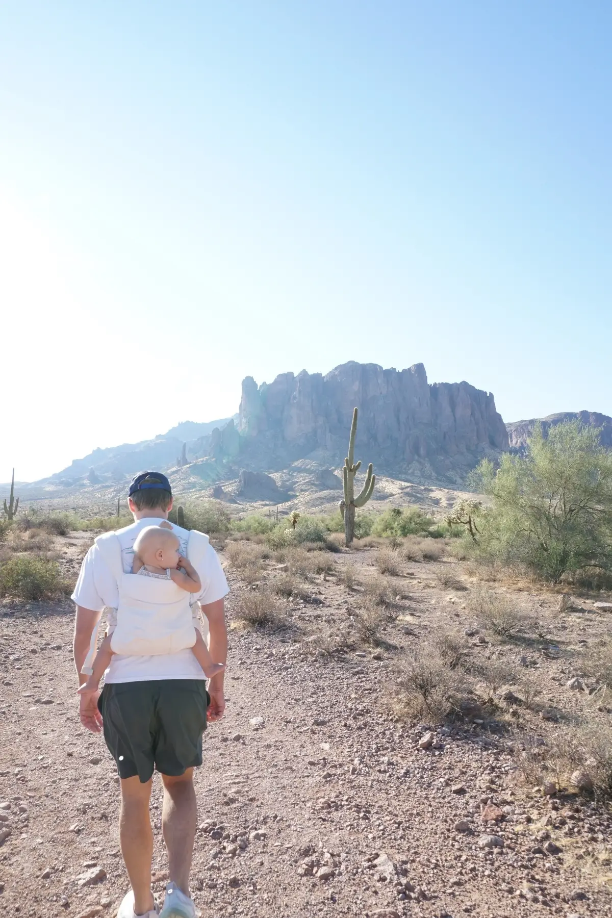 Pretty little hike in the desert today 🌵