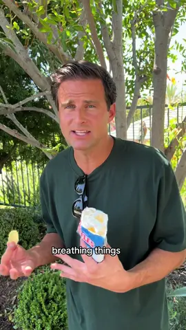 Living breathing things #fyp