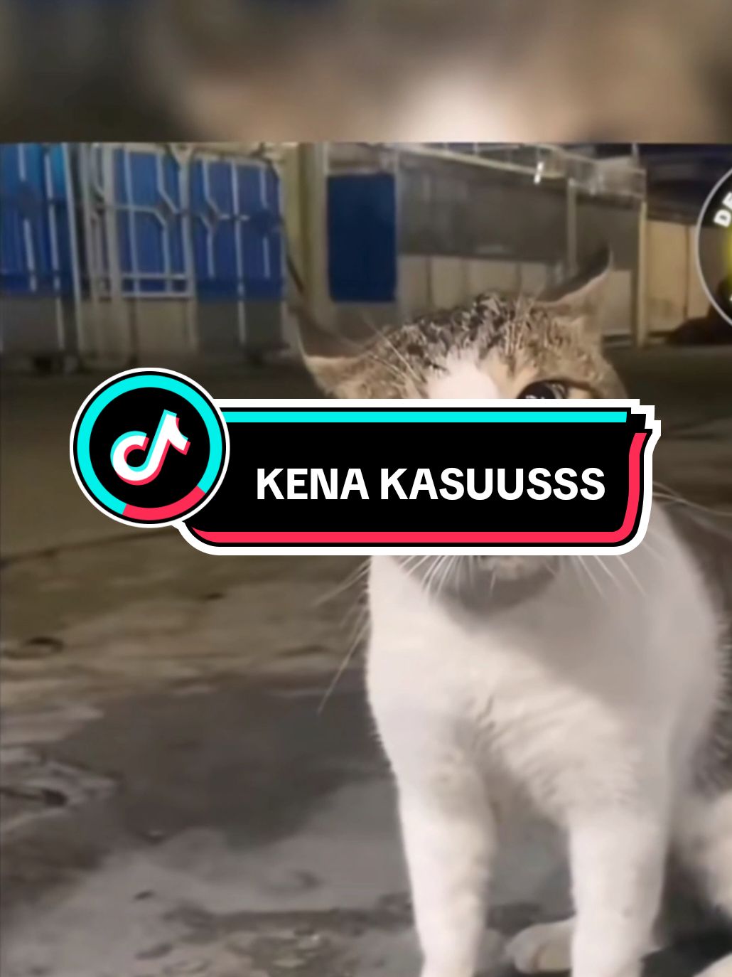 KENA KASUSS #foryou #kocakkkk🤣🤣🤣🤣🤣 #foryoupage #virall #fyppppppppppppppppppppppp #huhuhu #kocakkkk🤣🤣🤣🤣🤣 #lucu #hewanviral @demikanimal.official 