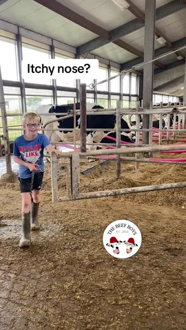 Bedding day! Closing the gate for the next section of bedding! #the_beef_boys #farm #farmlife #farmlifeisthebestlife #farmtok #cow #bedding #manurepress #LearnOnTikTok #itchy #fyp #foryou #foryou #learnontiktok #cute #happy #hardworking #kids #teachthemyoung #gates 