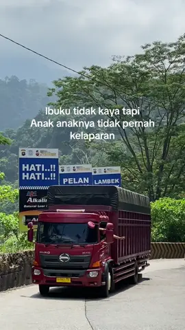 🥺 #fyp #trukganteng #malalasodrek #minangtiktok 