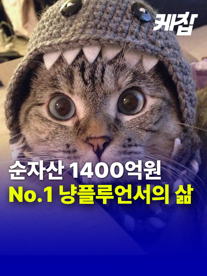 기네스 인증! 세계서 가장 유명한 고양이🐱 순자산이 1400억원에 달하는 고양이가 있다. 바로 미국 캘리포니아에 사는 고양이 '날라'(Nala)다🐈 날라는 로스앤젤레스 유기묘 보호소에서 생후 5개월에 지금의 주인인 바리시리 메타치티판(37, 활동명 '푸키')을 만났다. 미국 캘리포니아에 사는 태국인 메타치티판은 미 서부의 캘리포니아대학(UCLA) 유학생 시절, 우연히 유기묘 보호소를 찾았다가 날라를 만나게 됐다. 그는 NBC뉴스에 