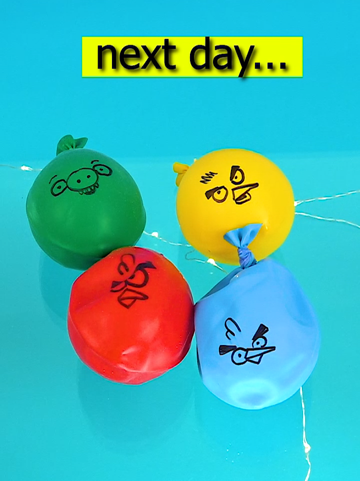 DIY Pufferfish Ballon feat. Angry Birds