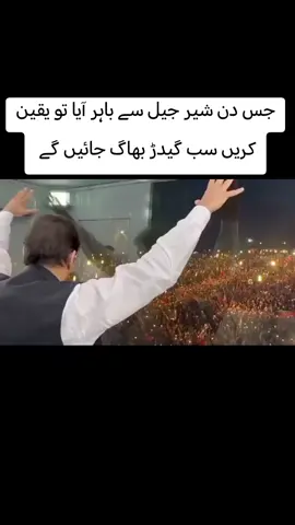 #foryou #foryou #releaseimrankhanنکلو_خان_کی_زندگی_بچاؤ #foryou #foryou 