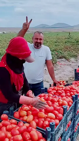 bimek bilmeyen iş 🫤