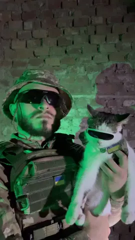 А ви також робите вечірки зі своїми хвостиками? 😅 Тільки Шайбік🐈🇺🇦 та нові смаки чипсів @chipsters.ua 😍 і більше нічого не потрібно ❤️