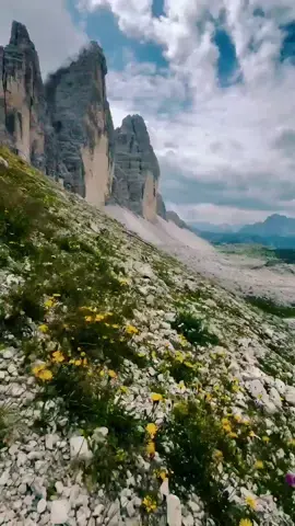 Le montagne sono le uniche stelle che possiamo raggiungere a piedi.⛰️🇮🇹❤️#dolomiti #trecimedilavaredo #dreizinnen #veneto #sorapis #stupore #epic #dream   #Summer #trentino #altoadige #italia #montagna #italy #nature #mountain #naturelover #mountainlover #sky #clouds #skyline #Outdoors #peaks #summit #imagination #magic #hike #trekking #climbing #photography #photomagic #photo #cinamatic #sunset #tramonto #italy #viaferrata #fyp #bestplace #discover #hiker #sudtirol #landscapephotography #landscape #travel #trip #awesome #amazingview #reels #emotions #vibes #breathless #travelitaly #emozioni #enchanting   #sun #wonderlust   #overthetop #sunrise #camping #naturephotography #naturecolors #naturephotography #surreal #alba #passione #foto #fotografia #mountainwalks #dolomites #sunrise #berg #wandern #weg #natur #landshaft #paysage #randonee #montagne #nature #naturaleza #senderismo #paisaje #sunrise #sonnenaufgang #sonnen #sonnenuntergang #atardecer #amanecer #veneto #sunset   #summervibes #summertime #dolomitiemotions #hikingtiktok #unesco #sudtirol #traveler #fyp #adventure #outdooradventures #heavendoor #timetravel #summerlooks #bestday #summerlooks #timetravel #outdooradventures #fyp #traveler #sudtirol #hikingtiktok #heavendoor #sudtirol   #dolomitiemotions #unesco #altoadige #belluno #cortina #novaponente #lake #trecimedilavaredo #belluno #cortina #breathtakingviews #bucketlisttravel #eurotrip #exploretheworld #itinerary #adventuretravel #italiandolomites   #karersee #latemar #bolzano🇮🇹 #bozen #roamtheplanet #higher #climbs #itinerary #scenery #adventuretravel #eurotrip #exploreitaly #exploretheworld #belluno #cortina #trecimedilavaredo #bozen #bucketlisttravel #breathtakingviews #breathtakingviews #bucketlisttravel   #sudtirol #italy🇮🇹 #alpinelake #color #water #magnificent #naturephotography #scenicview #clearwater #viralnature #exploreoutdoors #hikingadventures #trentino #fypシ゚viral #fypシ #fypage #fyp #lago #lake #reflex #3000 #belluno #cortina #trecimedilavaredo #passogiau #sorapis #seceda   #dolomitiemotions #gopro #springvibes #goodfeeling #happydays #favoritememories #wonderer #odle #may #spring #season #feelathome #marmolada #veneto #ferrata #viaferrata #klettersteig #valpusteria #valgardena #valbadia #fotografo #paesaggi #spot #Hotspot #fvpfreestyle #droneshot #fpv #fpvdrone #trecimedilavaredo #dreizinnen #stunning #veneto #Hotspot #dji #Halo #baci #foryou  #capcut_edit #CapCut 