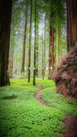 #healing #nature 