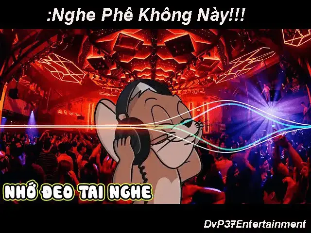 Đeo tai nghe để có trải nghiệm âm thanh tốt nhất nghé các bạn #nonstop #vinahouse #Remix #edm #pmusic8d #JBL 