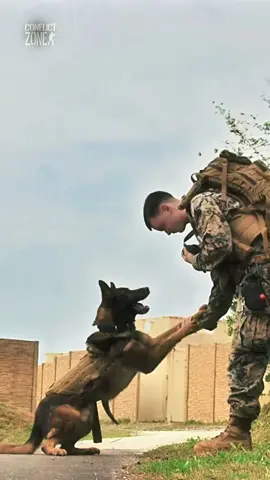 #army #k9dog #k9 #usarmy 