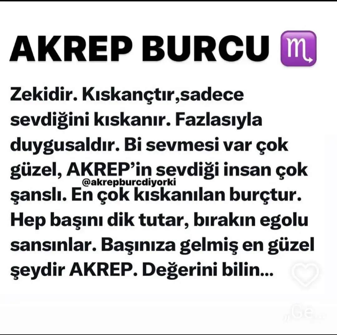 #akrepkadini🦂👑💯👑💯 #akrepburcu #kesfeteyizzzz #almanyatürkiye🇩🇪🇹🇷🇩🇪🇹🇷 #gurbetcitürkler🇹🇷🇹🇷 #frankfurtammain #afyonkarahisar03 #seninicintiktok 