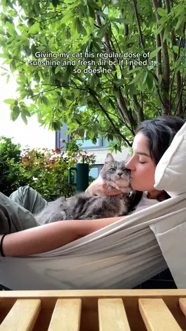 Let your cat experience the outdoors w you☀️