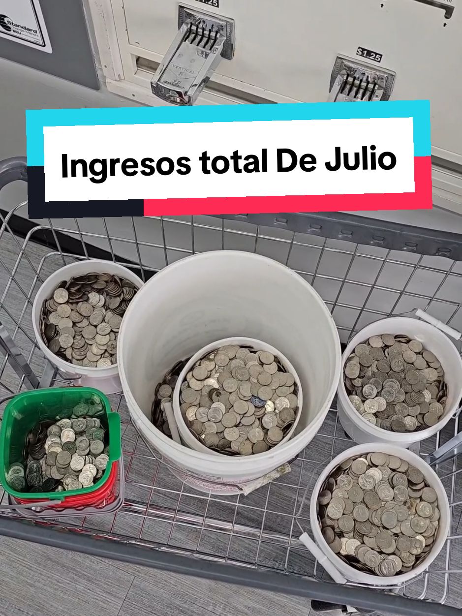 Ingresos Totales De Julio En Mi Lavanderia #negocios #dinero  #lavanderia  #tailorbrands  #LLC  #constructordenegocios  @Tailor Brands 