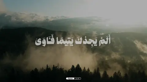 سورة الضحي || القارئ الشيخ محمد صديق المنشاوي 🤍 . . . . . . . . . #fyp #قرآن #viral #المنشاوي #محمد_صديق_المنشاوي #سورة_الضحي الم يجدك يتيما فآوي ووجدك ضالا فهدي 