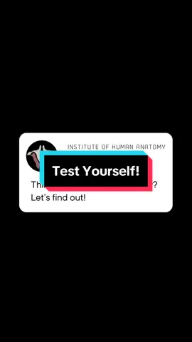 Do You Know Your Anatomy?!  #test #quiz #anatomy #fyp #foryou 