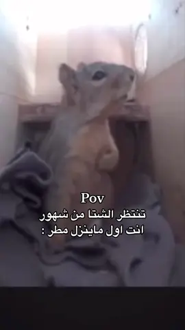 #الشعب_الصيني_ماله_حل😂😂 #fyp #شتا #مطر #fypシ #kuwait #كويت #ديسمبر #اكسبلوررر 