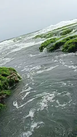 pantai Krapyak Pangandaran 