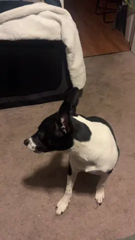 Hims do