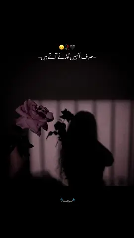 🥀بھئی میں تو پھولوں جیسی ہوں  #kashafwrites  . . . #islamabadbeautyofpakistan #Islamabad #a #bts #capcut #DIY #edit #foryou #greenscreen #humor #islam #jimin #k #Love #meme #new #on #parati #quotes #roblox #trending #unfrezzmyaccount #viral #workout #you #zyxcba  #islamicrepublicofpakistan #pakistan #beautifuldestinations #ApnaHaLEDiLSialkot #beauty #blogger #bloggersofinstagram #margallahills #mountains #li #dawndotcom #morning #northernareasofpakistan #rain #winter #islamabad #lahore #trending #tiktokofficialpage #tiktik #funnypoetry #foryoupage #supportmetiktok #fyppppppppppppppppppppppp #supportmetiktok #tiktok #support #tiktok #fyppppppppppppppppppppppp #KashyyyTypist #tiktokplzzunfreezmyaccont #fyp #trending #Viralvideo #followme #hellotiktok #funnyhunyar #chill #funny #mzak #plzunfreezemyaccout🙏 #tiktokhelpme #supportmeguyz #fulltrending #chillout #justsmile #ForYou #fyp #fypシ゚viral #fypage  #islamic  #BestPhotographyChallenge﻿﻿￼ #moodchallengemoodchallenge﻿﻿ #BestPhotographyChallenge﻿ #moodchallengemoodchallenge﻿﻿ #bestchallenge #beauty #photographychallenge﻿﻿ #beautifuldestinations #1MillionChallenge  #100kgchallenge  #photographychallengechallenge  #bestphotographychallenge 