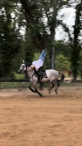 Entraînement matinal avec Volteo 💫 #horsevideo #horse #equestrian #horsesontiktok #voltige 