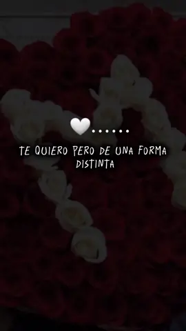 ........................BFF 🤗🎶❤️....................  Te quiero pero de una forma distinta personas como tú se encuentran extintas. . . . #dekko #bff❤️ #indirectas #indirectasdirectas #parati #viral #amor #rolitas #1m #regueton #musica #letrasdecanciones 