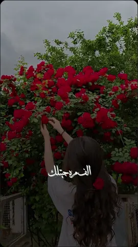 #الف_مرة_جيتلك_شايل_شعوري🤍☄️  #الامارات_العربية_المتحده🇦🇪  #اكسبلور  #لماح_عايض  #foryou #أغاني_حب 