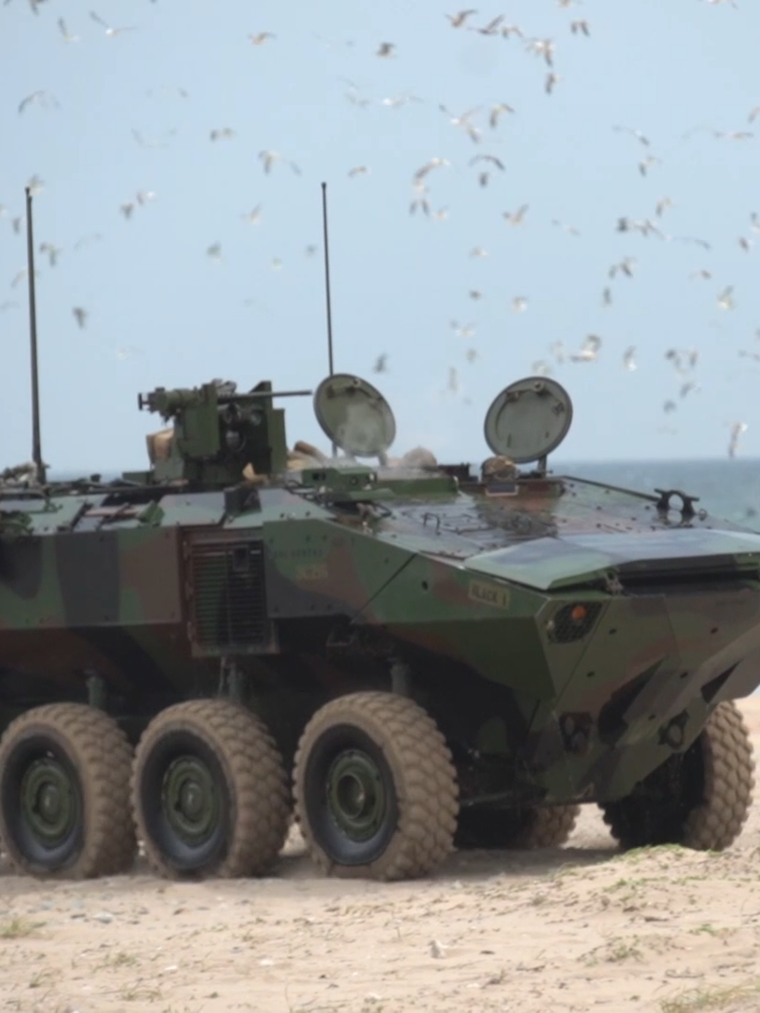 ACVs Secure Beach During Ssang Yong 24 Amphibious Assault