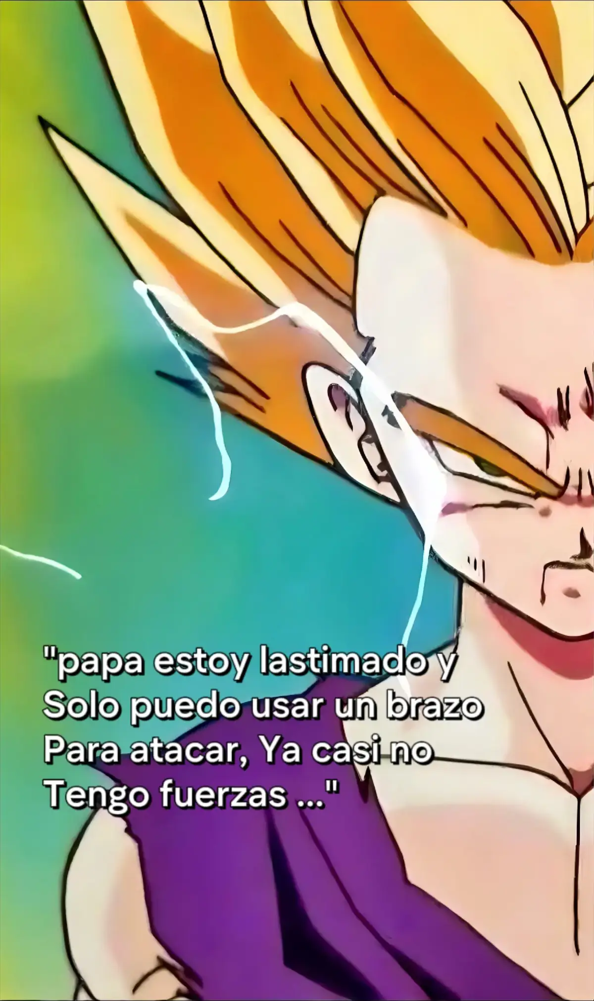 #Goku #dragonballz #gohanssj2 #gohan #goku #apoyo #fypシ #noflop #viral #dbz #sagadecell 