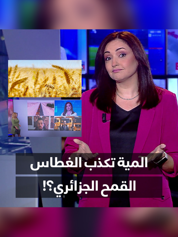 المية تكذب الغطاس .. #القمح_الجزائري ؟! @hanantsouri