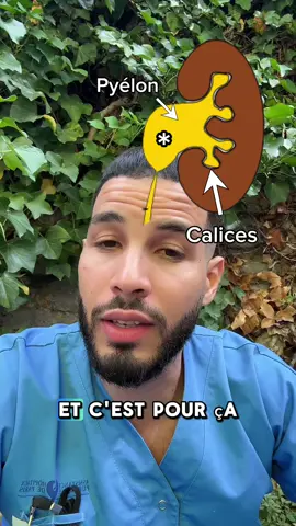 Dis-moi en commentaire si tu valides ce concept pour voir si je continue à vous proposer ce type de vidéos 🫶🏽 #santé #savoir #medecine #doc 