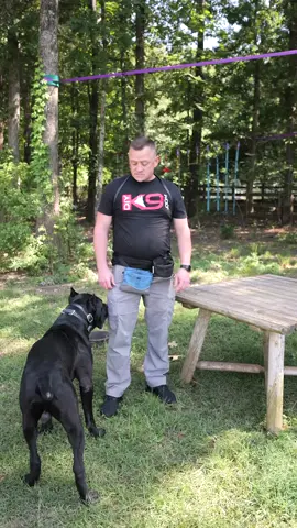 Picking up a 100lb dog? Learn the right way to avoid injury! 🐕💪 If you want to learn more about how to effectively train your dog... Check out our FREE COURSE 