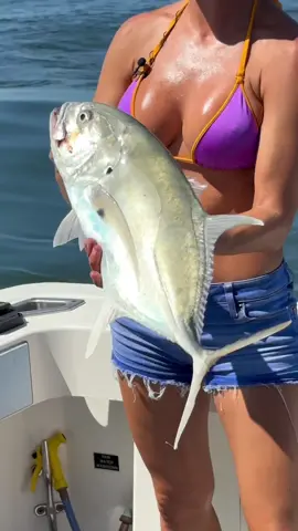 Inshore fishing action 🎣 #fishingwithluiza #fishing #jackcrevalle #paradise #fish 