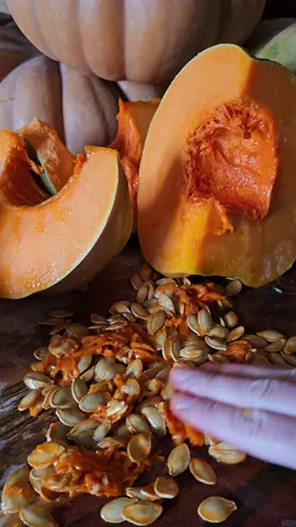 La courge, un légume indispensable à ton autonomie  En semant une dizaine de graines, tu en retireras des dizaines de kilos de fruits, qui se conserveront tout au long de l'automne hiver Ce légume est déclinable en des dizaines de recettes différentes, aussi bien salées que sucrées  Les graines sont à récupérer précieusement jusqu'au printemps prochain où tu pourras avoir la joie et la fierté de produire de nouveaux légumes issus de tes propres récoltes ! La variété que tu vois ici est la courge musquée de Provence. #autonomie #autosuffisance #homesteading #bio  #homesteadinglife #jardin #homemadefood #nature #potager #foodgarden #conservation #permaculture #growyourownfood #semences #graines #recolte #slowlife #courge  #pumpkin 