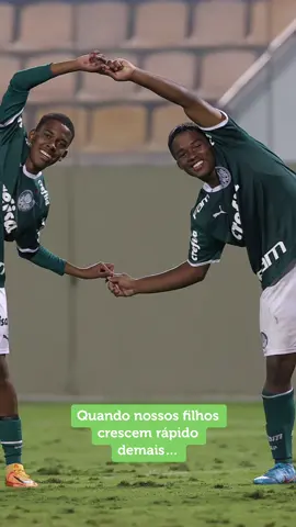 Vai devagar, tempo… 😭😱🤯💚🐽 #Endrick #Estevão #TiktokEsportes #Palmeiras  #SeleçãoBrasileira 