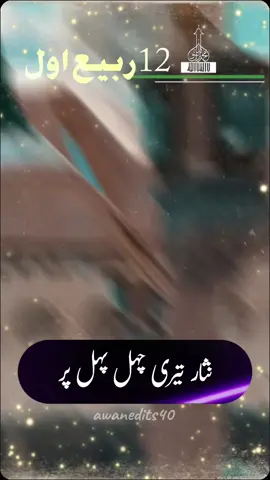 #CapCut 