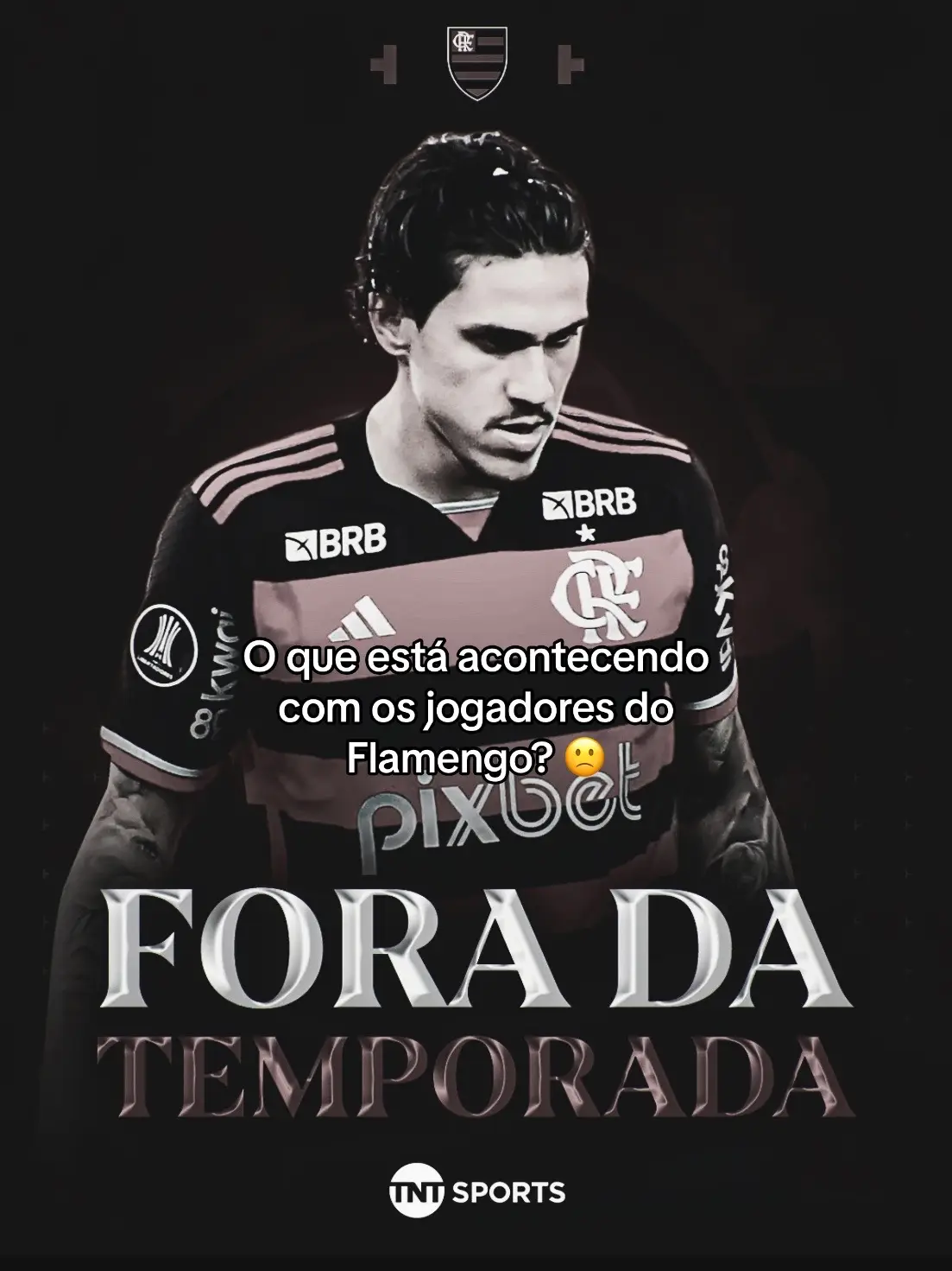 Eu não aguento mais. 💔 #clubederegatasdoflamengo #flamengo #flaedits #pedroguilherme #gabigol #arrascaeta #leopereira #pulgar #lesionado #foryou 