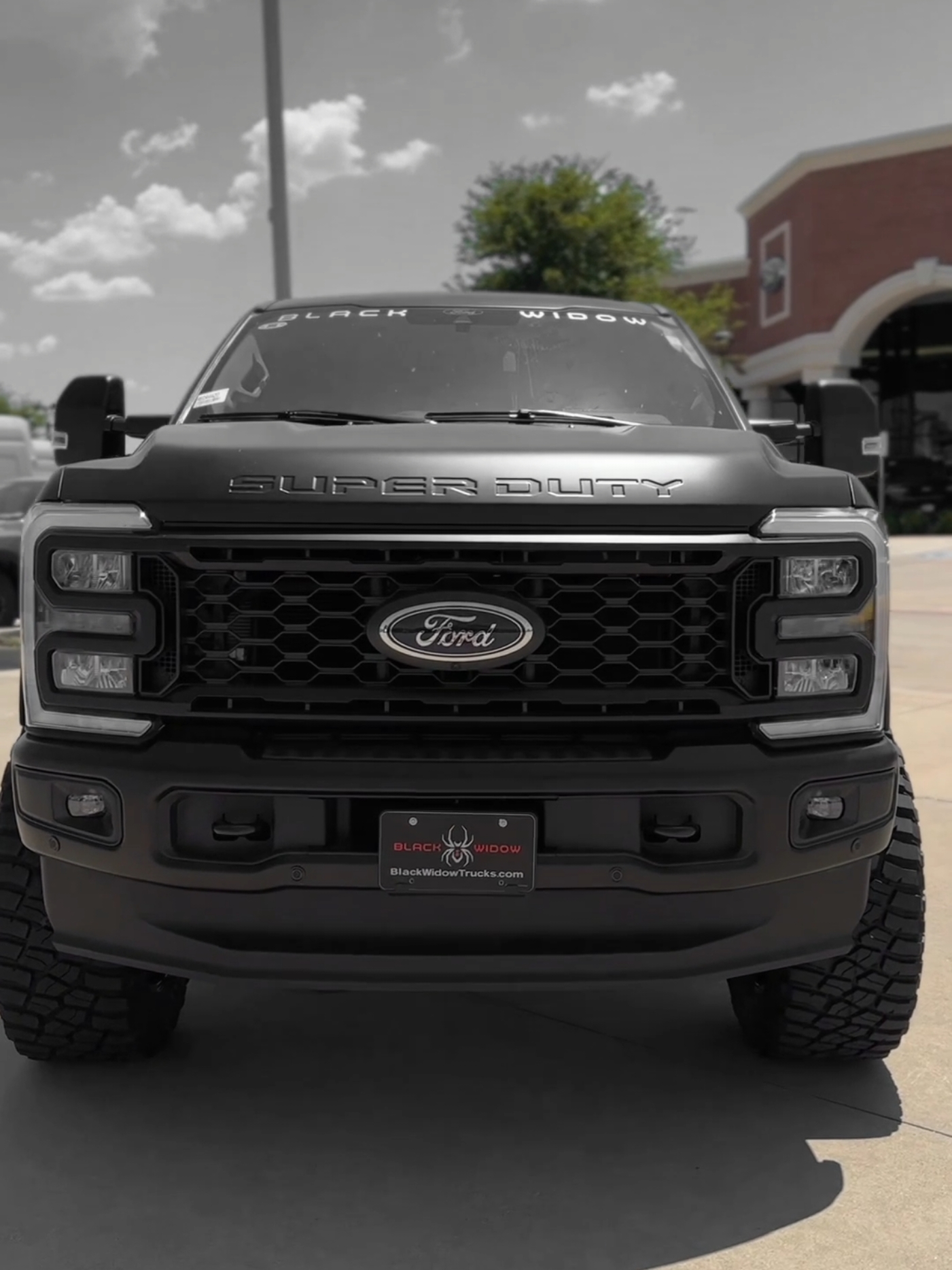 Pick your Black Widow F250 🖤🤍 #ford #alumiduty #superduty #blackwidow #fordf250 #powerstroke #2024superduty 