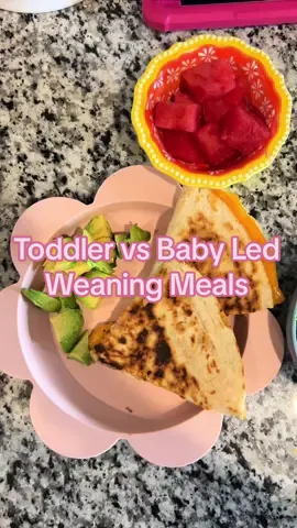 Toddler (2.5 years) vs Baby led Weaning (5 months) Foods 🍔🌭🌮 #babyledweaning #babyledwraningideas #babyledfeeding #babyledweaningrecipe #babyledweaning6months #toodlerfoodideas #toddlerfood #toddlereats #babystartingsolids #babystartssolids #babysolids #startingsolids #startingsolidstips #MomsofTikTok #momlife #momtok #toddlermom 