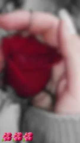 #CapCut 