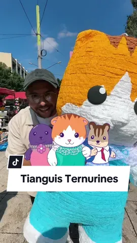 $10,000 en TERNURINES en mi bio estára la info del TERNUFEST 14 de Septiembre 👀 #ternurines #ternufest 